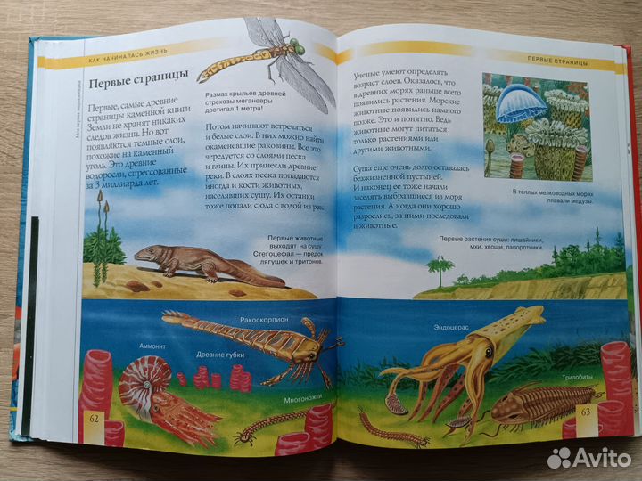 Детская энциклопедия, рассказы