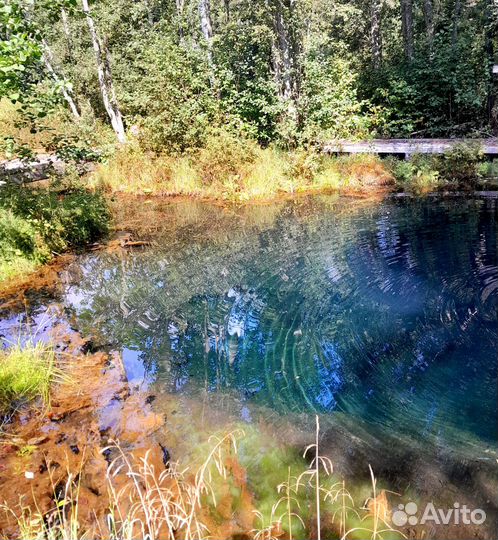 Экскурсия Валдай