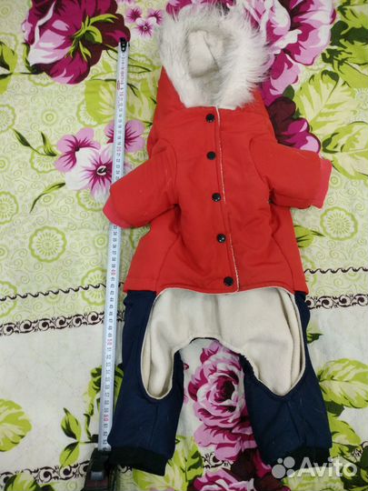 Зимний комбинезон для собаки