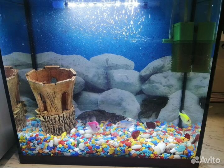 Аквариум