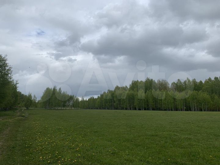 Участок 48,4 га (ИЖС)