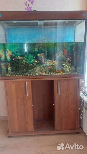 Аквариум с рыбками