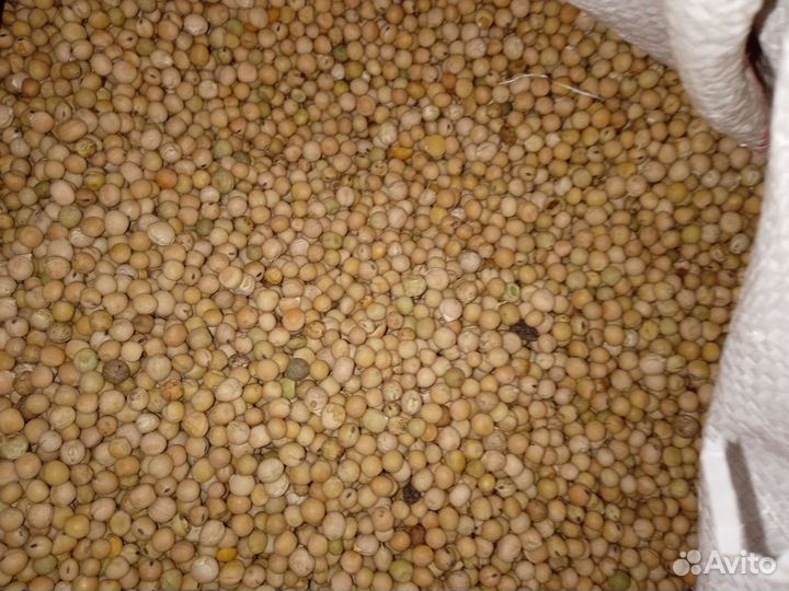 Ячмень, пшеница, овёс, горох, кукуруза