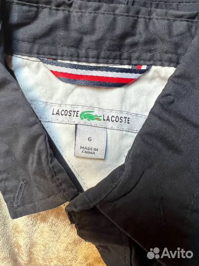 Рубашка lacoste для мальчика 6 лет