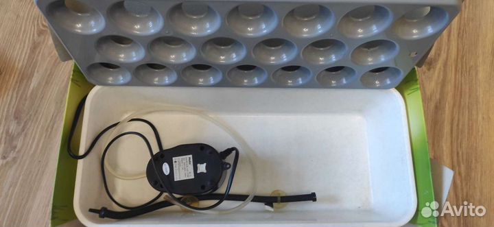 Установка для выращивания лука