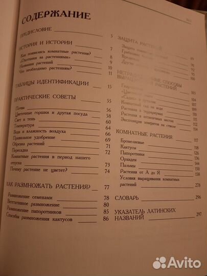 Цветы в нашем доме.Г.Янтра. 1998 г.Новая