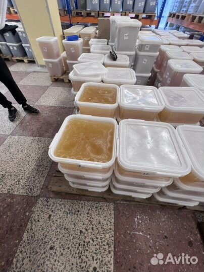 Мёд белой акации оптом 23год