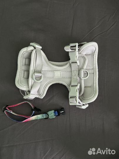 Шлейка, ошейник