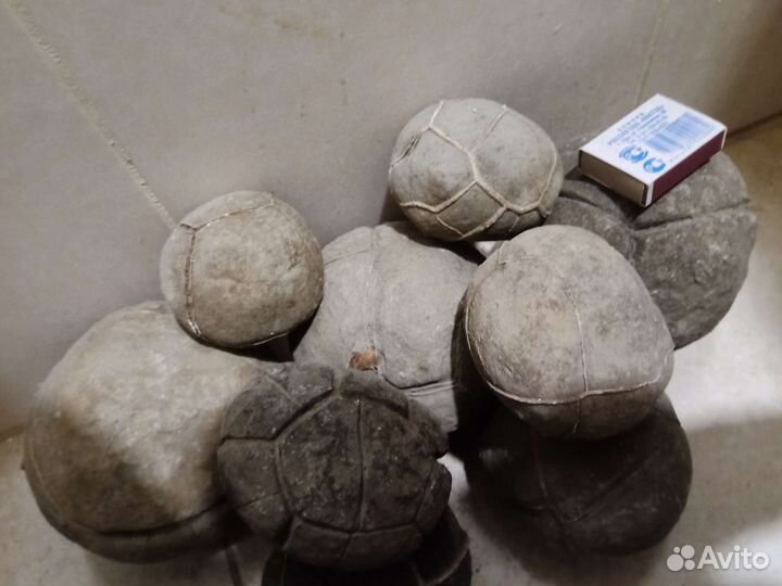 Септария, открытая, Яйцо дракона