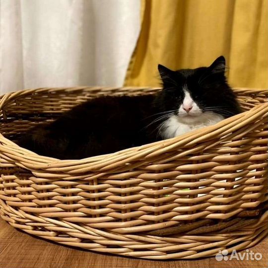 Лежанка для кошки