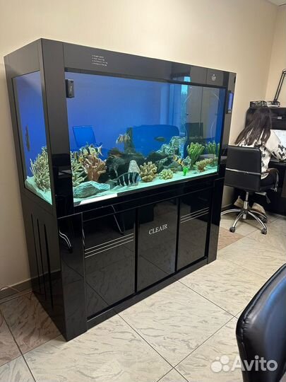 Аквариум cleair