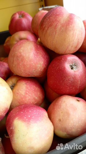 Продам оптом и в розницу