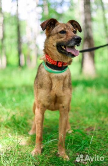 Мне трудно выжить