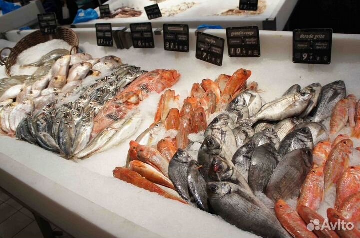 Готовая франшиза рыбного магазина под ключ