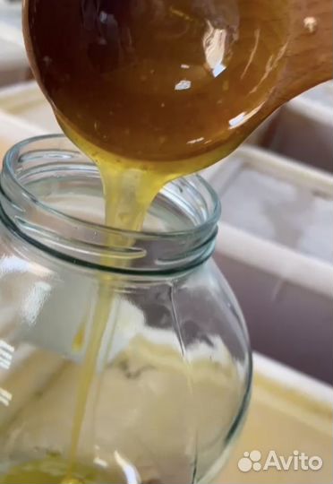 Свежий мед 2023года