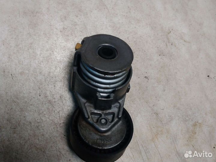 Ролик ремня генератора с кронштейном Renault