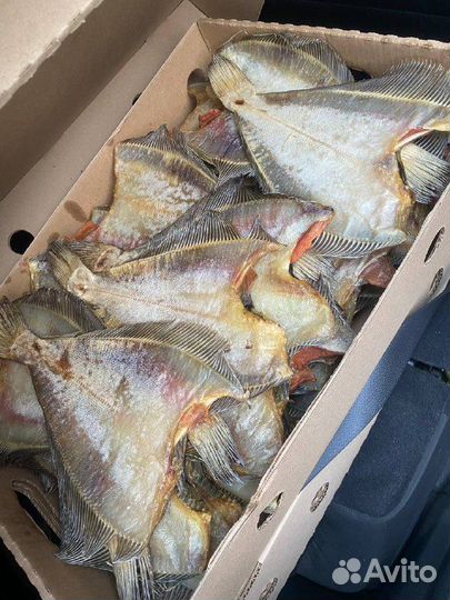 Камбала ерш Мурманск