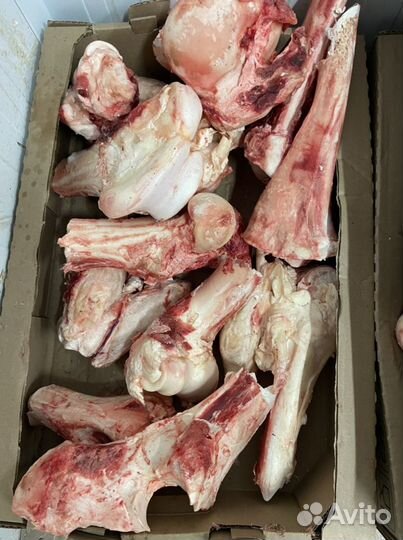 Кости говяжьи