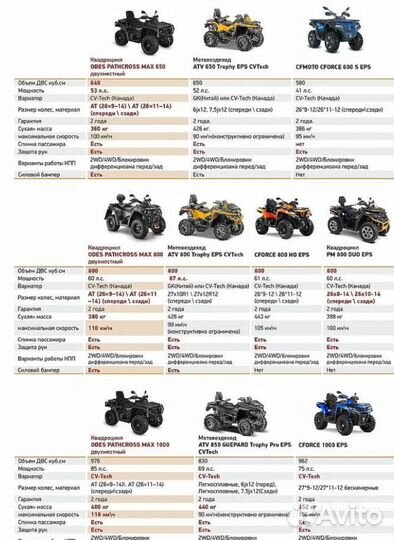 Квадроцикл aodes pathcross 1000 XE одноместный