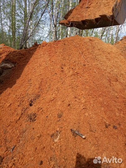 Перепревший опил