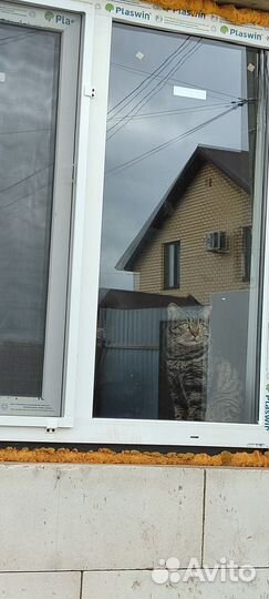 Отказники приюта