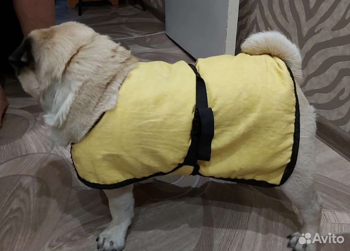 Охлаждающие попоны для собак