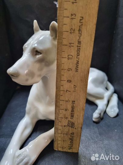 Фарфоровая статуэтка Дог мраморный, ссср. лфз