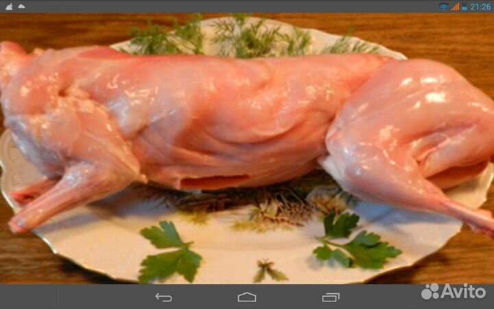 Мясо кролика