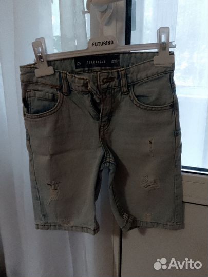 Шорты terranova