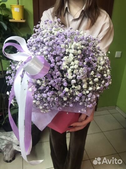 Композиции из гипсофилы