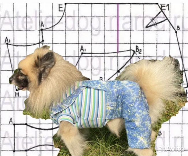Выкройки одежды для собак