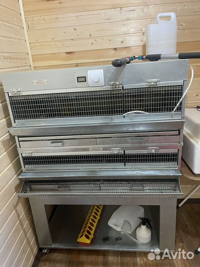 Клетки для перепелов