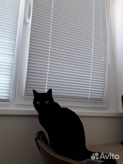 Жалюзи горизонтальные