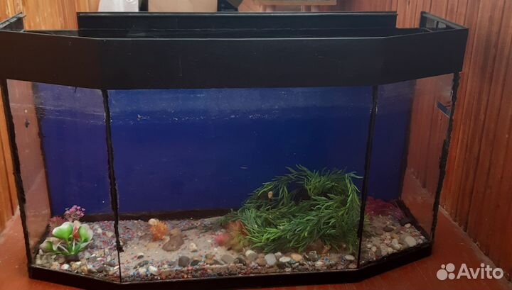 Аквариум гнутый заводской