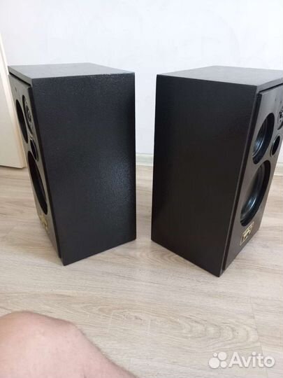 Колонки акустика вега 25ас 2