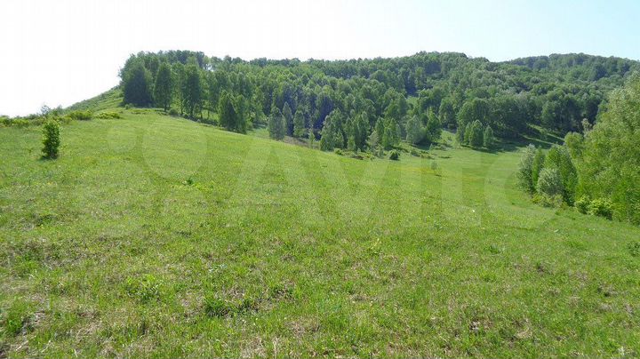 Участок 33,7 га (СНТ, ДНП)