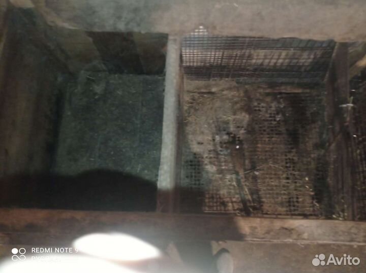 Клетка для кроликов 3 шт