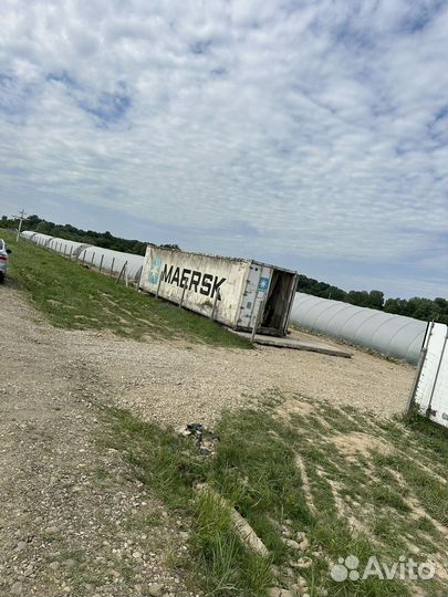 Клубничные поля