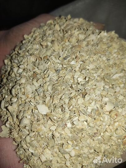 Ракушка кормовая