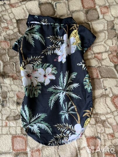 Костюмчик для собаки рубашка