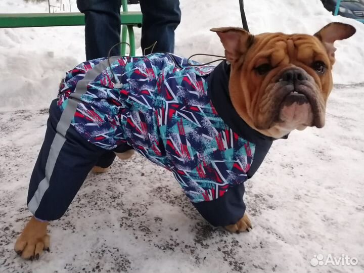 Комбинезон для собаки