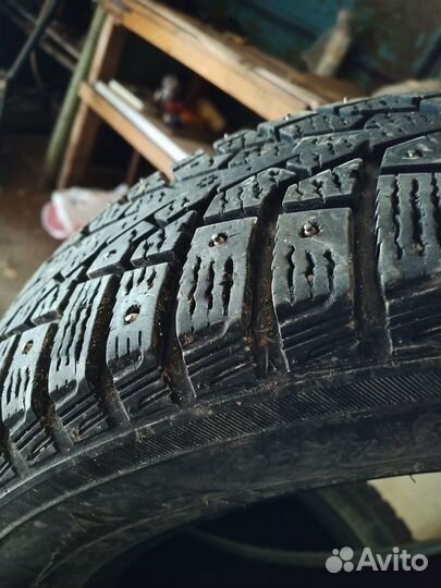 Maxxis ArcticTrekker NP3 185/65 R15 92T