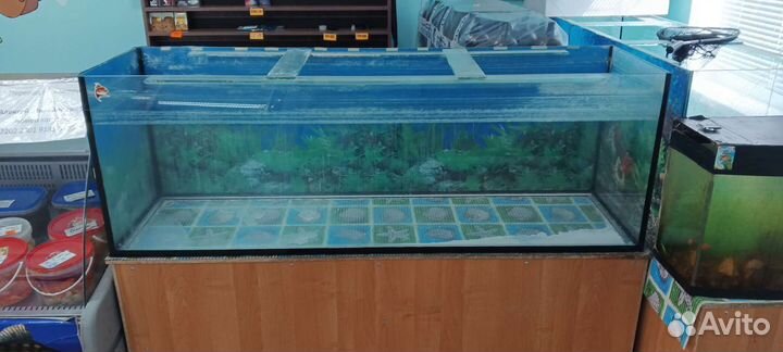 Аквариум