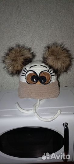 Полярный котик