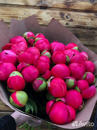 Пионы с доставкой