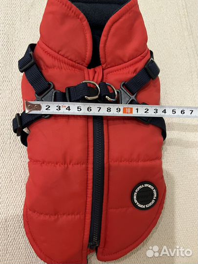 Puppia одежда для маленькой собаки