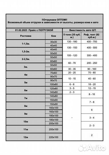 Саженцы сосна