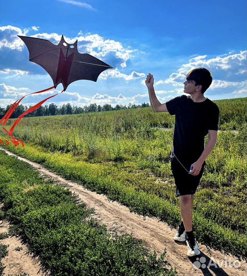 Летучий змей