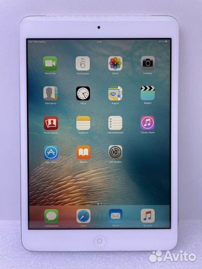 iPad mini a1455