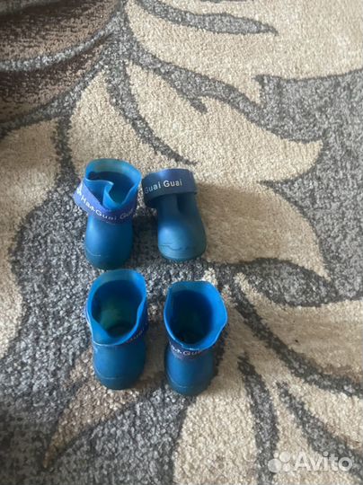 Одежда для собак мелких пород